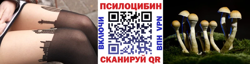 Галлюциногенные грибы Psilocybe  где найти   Сосенский 